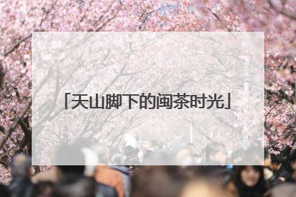 天山脚下的闽茶时光