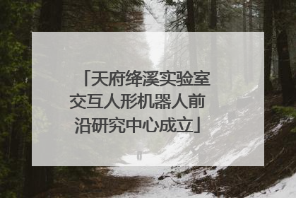 天府绛溪实验室交互人形机器人前沿研究中心成立