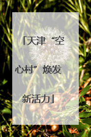 天津“空心村”焕发新活力