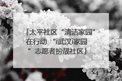 太平社区“清洁家园”在行动 “i武汉i家园”志愿者扮靓社区