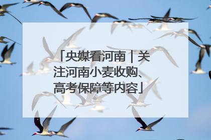 央媒看河南｜关注河南小麦收购、高考保障等内容