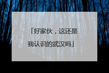 好家伙，这还是我认识的武汉吗