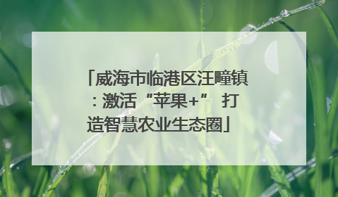 威海市临港区汪疃镇：激活“苹果+” 打造智慧农业生态圈
