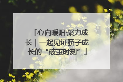 心向暖阳·聚力成长｜一起见证骄子成长的“破茧时刻”
