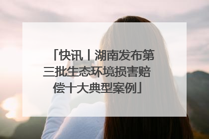快讯丨湖南发布第三批生态环境损害赔偿十大典型案例
