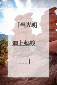 当光明遇上蚂蚁……