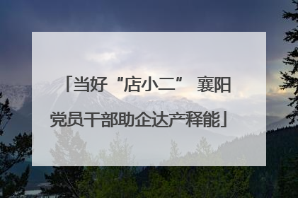当好“店小二” 襄阳党员干部助企达产释能