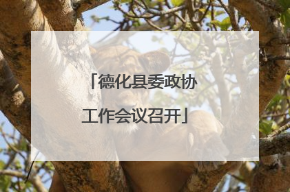 德化县委政协工作会议召开