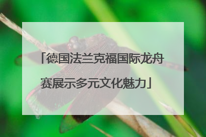 德国法兰克福国际龙舟赛展示多元文化魅力