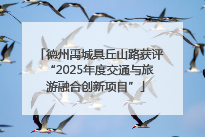 德州禹城具丘山路获评“2025年度交通与旅游融合创新项目”