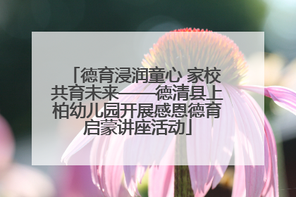 德育浸润童心 家校共育未来——德清县上柏幼儿园开展感恩德育启蒙讲座活动