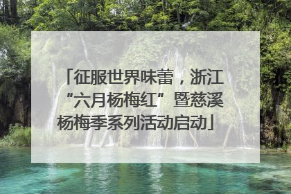 征服世界味蕾，浙江“六月杨梅红”暨慈溪杨梅季系列活动启动