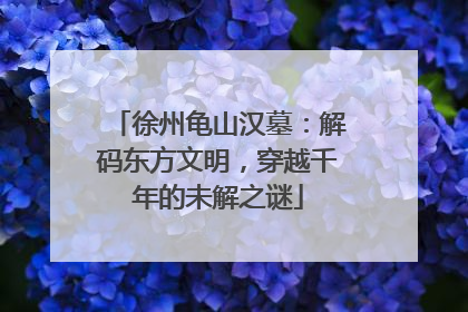 徐州龟山汉墓：解码东方文明，穿越千年的未解之谜