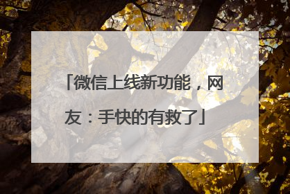 微信上线新功能，网友：手快的有救了