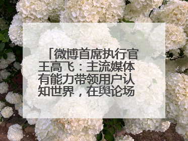 微博首席执行官王高飞：主流媒体有能力带领用户认知世界，在舆论场中搭建理性的讨论空间