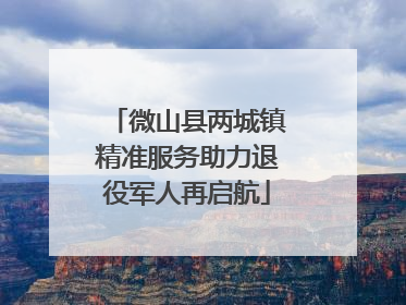 微山县两城镇精准服务助力退役军人再启航