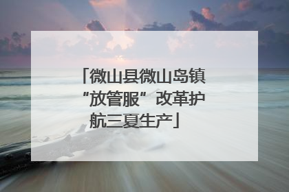 微山县微山岛镇“放管服”改革护航三夏生产