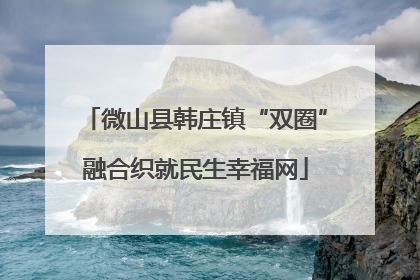 微山县韩庄镇“双圈”融合织就民生幸福网