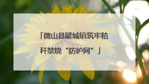 微山县驩城镇筑牢秸秆禁烧“防护网”