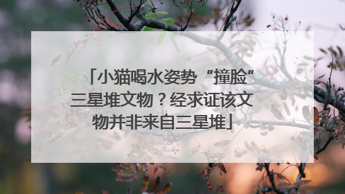 小猫喝水姿势“撞脸”三星堆文物？经求证该文物并非来自三星堆