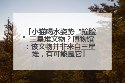 小猫喝水姿势“撞脸”三星堆文物？博物馆：该文物并非来自三星堆，有可能是它