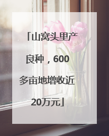 山窝头里产良种，600多亩地增收近20万元