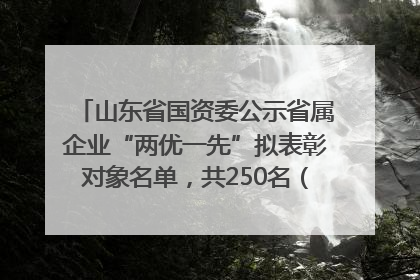山东省国资委公示省属企业“两优一先”拟表彰对象名单，共250名（个）党员和党组织