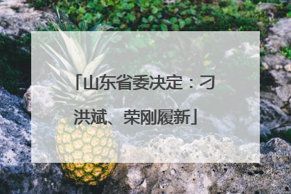 山东省委决定：刁洪斌、荣刚履新