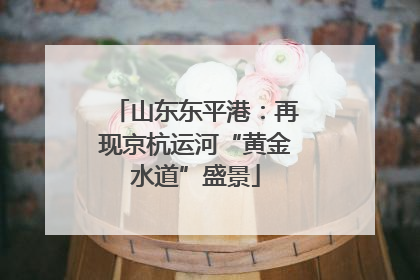 山东东平港：再现京杭运河“黄金水道”盛景
