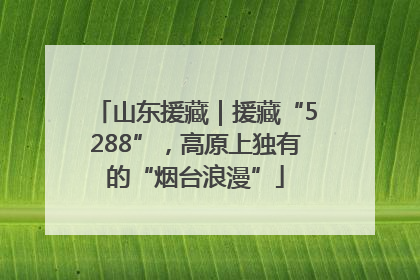 山东援藏｜援藏“5288”，高原上独有的“烟台浪漫”