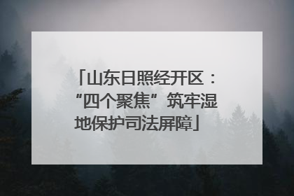 山东日照经开区：“四个聚焦”筑牢湿地保护司法屏障