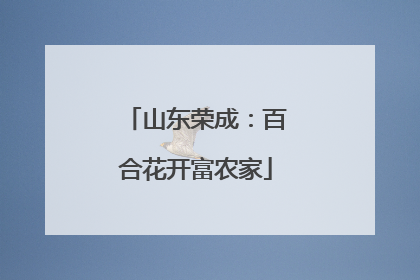 山东荣成：百合花开富农家