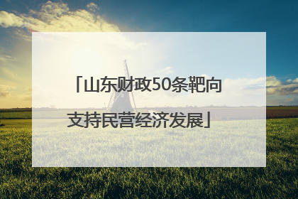 山东财政50条靶向支持民营经济发展