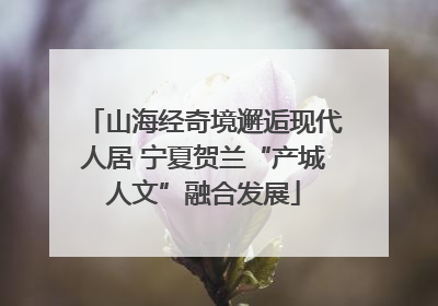 山海经奇境邂逅现代人居 宁夏贺兰“产城人文”融合发展