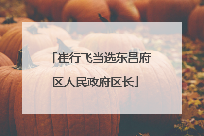 崔行飞当选东昌府区人民政府区长