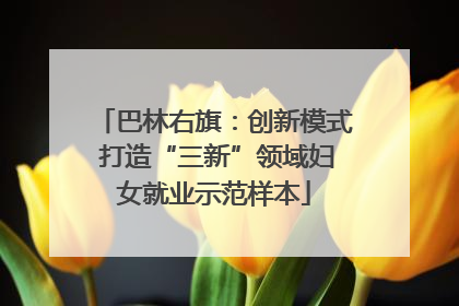 巴林右旗：创新模式 打造“三新”领域妇女就业示范样本