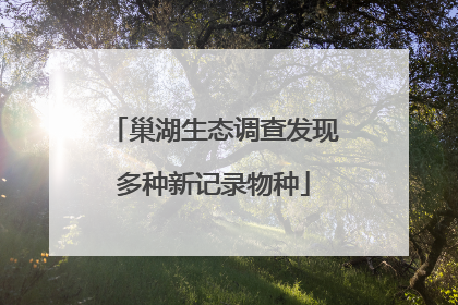 巢湖生态调查发现多种新记录物种