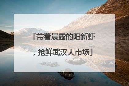 带着晨露的阳新虾，抢鲜武汉大市场