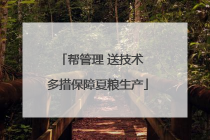 帮管理 送技术 多措保障夏粮生产