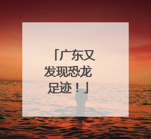 广东又发现恐龙足迹！
