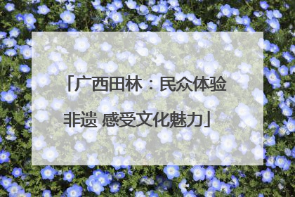 广西田林：民众体验非遗 感受文化魅力