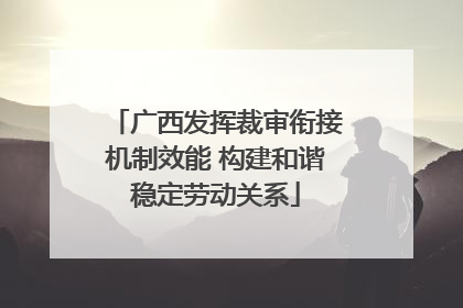 广西发挥裁审衔接机制效能 构建和谐稳定劳动关系