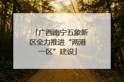 广西南宁五象新区全力推进“两港一区”建设