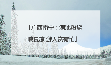 广西南宁：满池粉黛映夏凉 游人赏荷忙