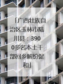 广西壮族自治区玉林市陆川县：3900多名本土干部回乡解纷促和