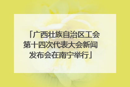 广西壮族自治区工会第十四次代表大会新闻发布会在南宁举行