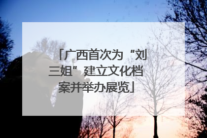 广西首次为“刘三姐”建立文化档案并举办展览