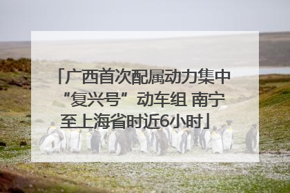 广西首次配属动力集中“复兴号”动车组 南宁至上海省时近6小时