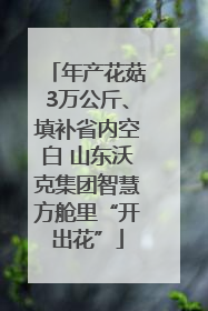 年产花菇3万公斤、填补省内空白 山东沃克集团智慧方舱里“开出花”