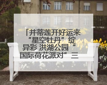 并蒂莲开好运来 “星空牡丹”绽异彩 洪湖公园“国际荷花派对”三天迎客六万